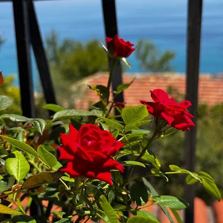 Georgia's Skyview Appartement *